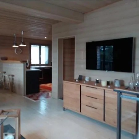 Chalet Besse-et-saint-anastaise-super Besse, 7 Pieces, 10 Personnes - Fr-1-395-38